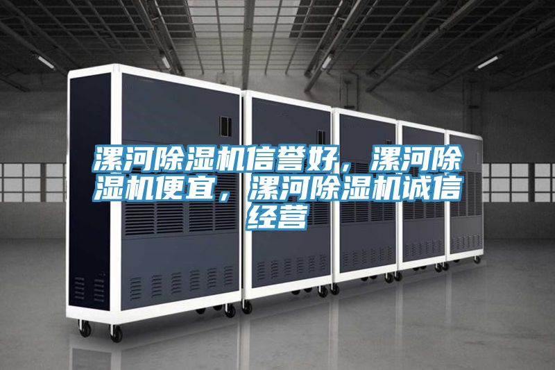 漯河除濕機信譽好,漯河除濕機便宜,漯河除濕機誠信經(jīng)營