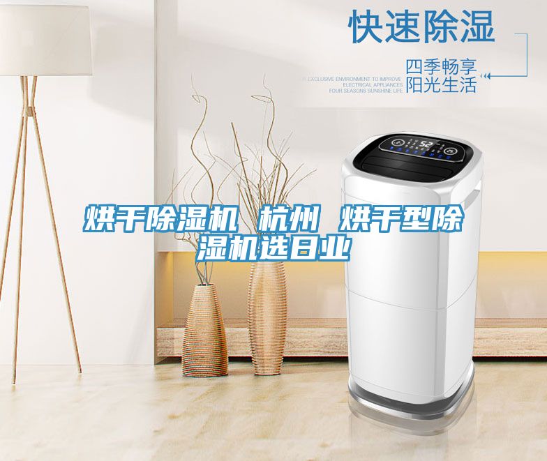 烘干除濕機 杭州 烘干型除濕機選日業