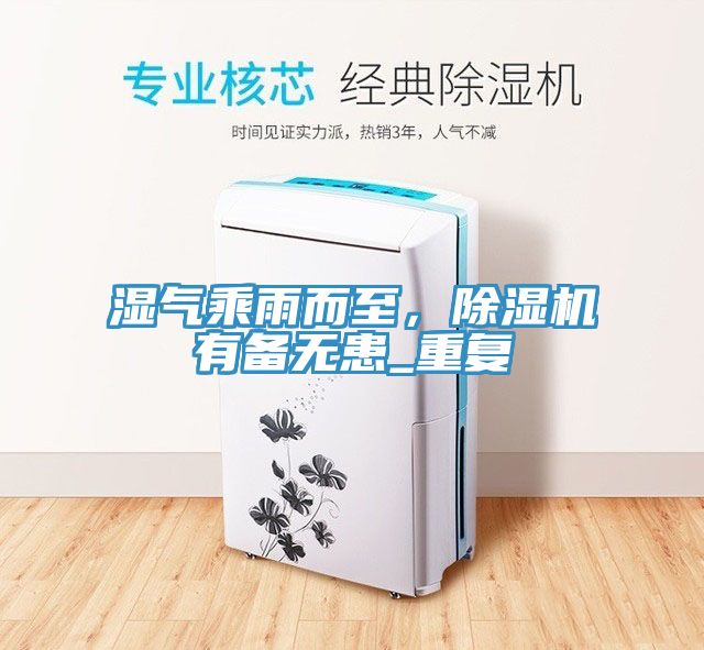 濕氣乘雨而至,除濕機有備無患_重復