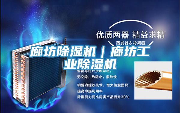 廊坊除濕機(jī)|廊坊工業(yè)除濕機(jī)