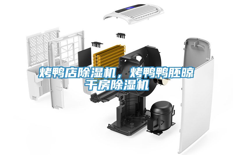 烤鴨店除濕機,烤鴨鴨胚晾干房除濕機