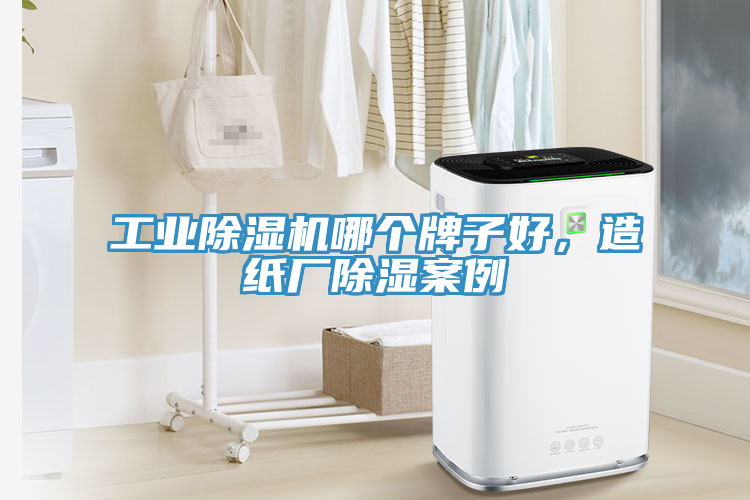 工業除濕機哪個牌子好,造紙廠除濕案例