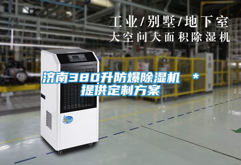 濟南380升防爆除濕機 *提供定制方案