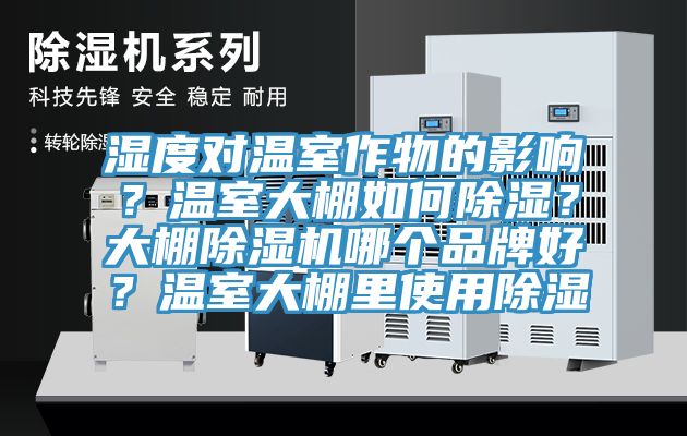 濕度對溫室作物的影響?溫室大棚如何除濕?大棚除濕機哪個品牌好?溫室大棚里使用除濕