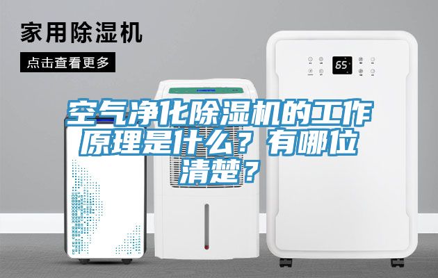空氣凈化除濕機的工作原理是什么？有哪位清楚？