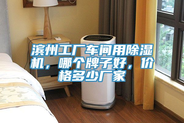 濱州工廠車間用除濕機(jī),哪個牌子好,價格多少廠家