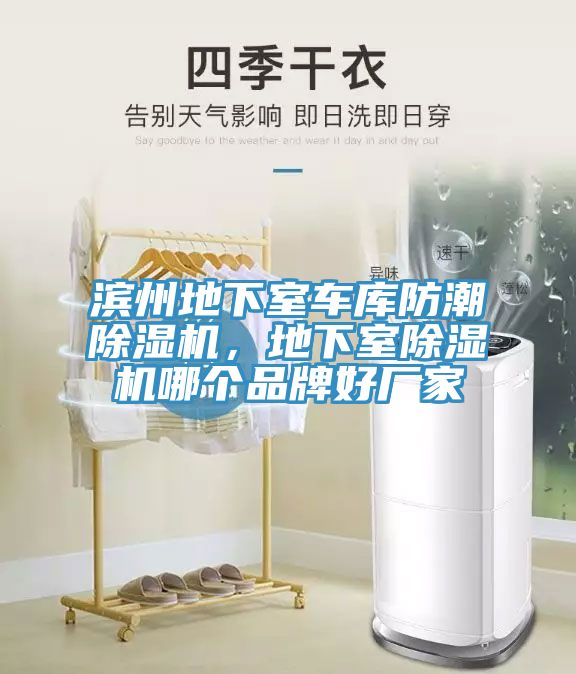 濱州地下室車庫防潮除濕機(jī),地下室除濕機(jī)哪個品牌好廠家