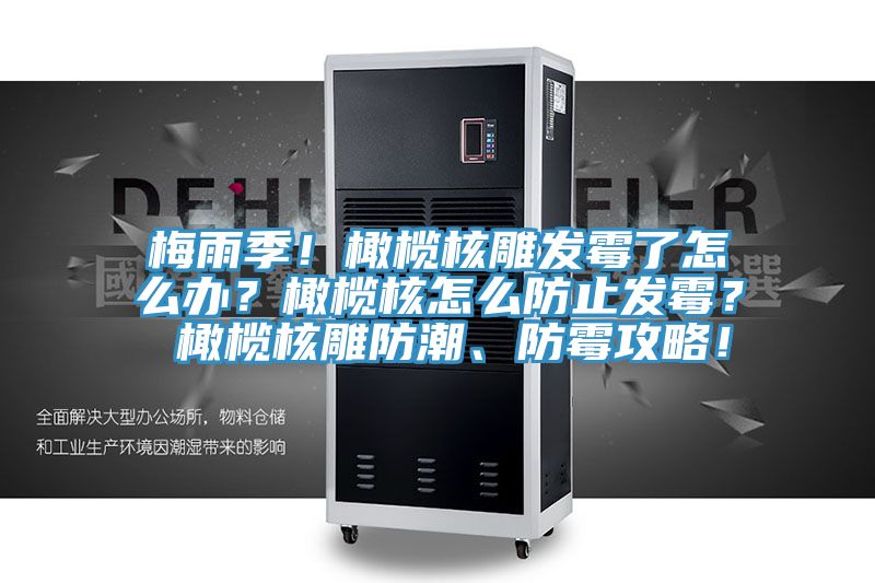 梅雨季！橄欖核雕發霉了怎么辦？橄欖核怎么防止發霉？ 橄欖核雕防潮、防霉攻略！