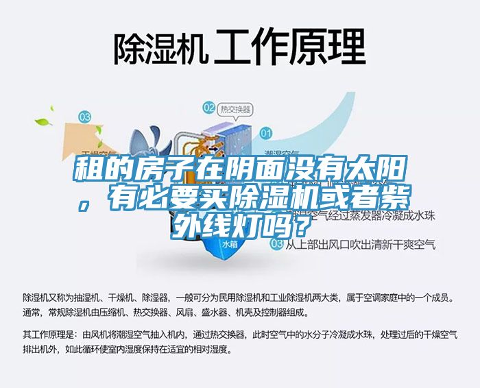 租的房子在陰面沒(méi)有太陽(yáng)，有必要買除濕機(jī)或者紫外線燈嗎？