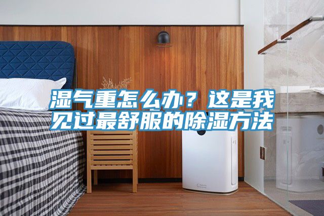 濕氣重怎么辦?這是我見過最舒服的除濕方法
