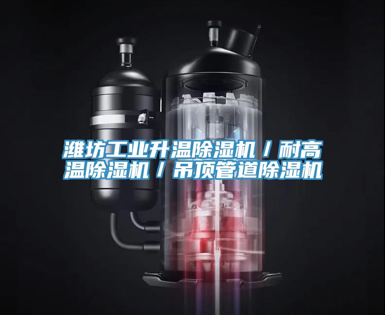 濰坊工業升溫除濕機/耐高溫除濕機/吊頂管道除濕機