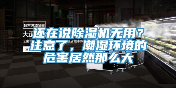 還在說除濕機無用？注意了，潮濕環境的危害居然那么大