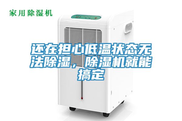 還在擔心低溫狀態無法除濕，除濕機就能搞定