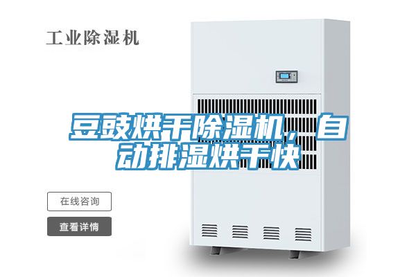 豆豉烘干除濕機(jī)，自動(dòng)排濕烘干快