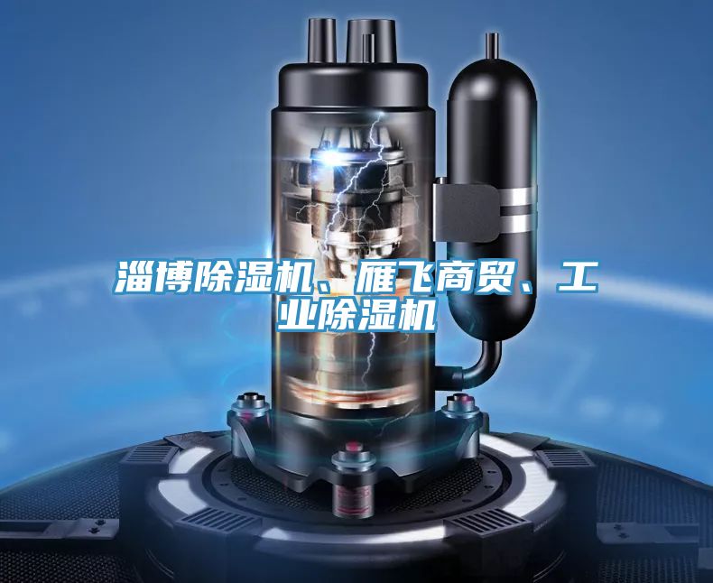 淄博除濕機、雁飛商貿、工業除濕機