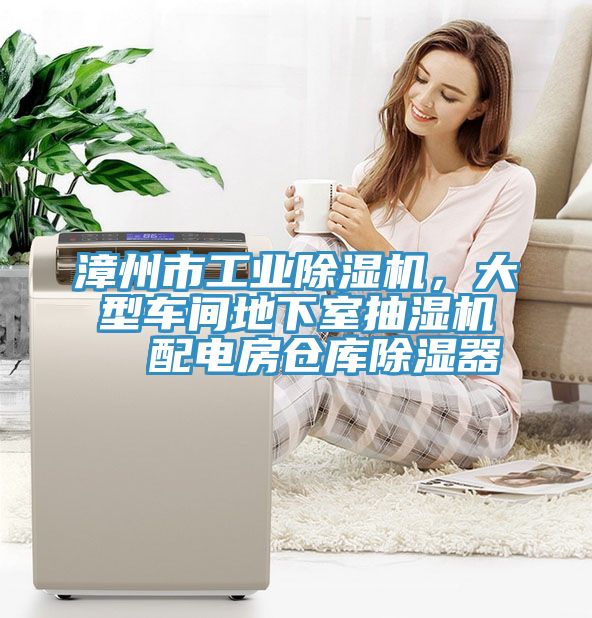 漳州市工業除濕機,大型車間地下室抽濕機 配電房倉庫除濕器