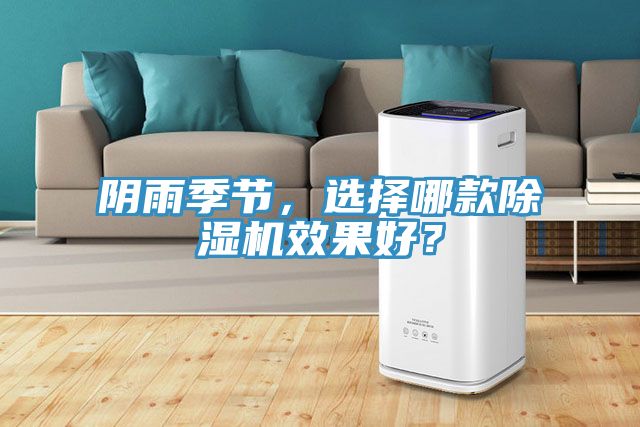 陰雨季節(jié)，選擇哪款除濕機效果好？