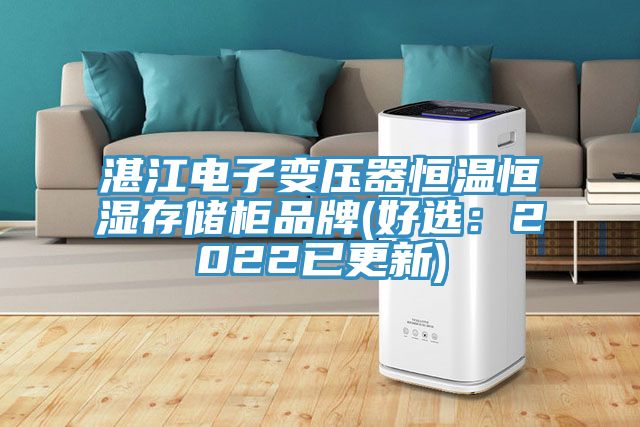 湛江電子變壓器恒溫恒濕存儲柜品牌(好選:2022已更新)