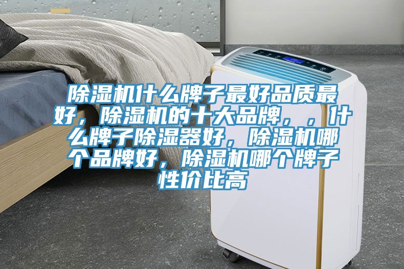 除濕機(jī)什么牌子最好品質(zhì)最好，除濕機(jī)的十大品牌，，什么牌子除濕器好，除濕機(jī)哪個品牌好，除濕機(jī)哪個牌子性價比高