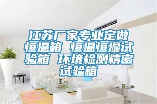 江蘇廠家專業定做恒溫箱 恒溫恒濕試驗箱 環境檢測精密試驗箱