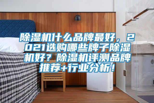 除濕機(jī)什么品牌最好，2021選購哪些牌子除濕機(jī)好？除濕機(jī)評(píng)測品牌推薦+行業(yè)分析！