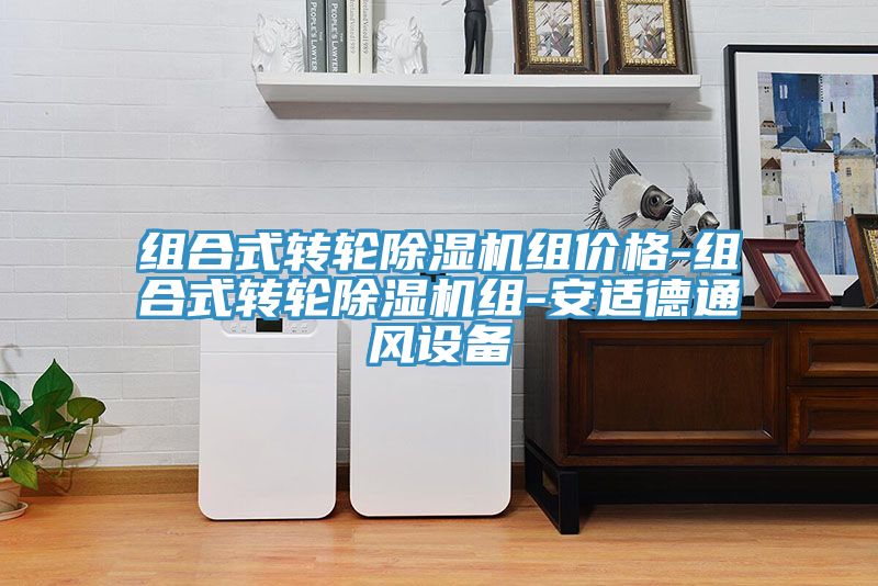 組合式轉(zhuǎn)輪除濕機組價格-組合式轉(zhuǎn)輪除濕機組-安適德通風設備