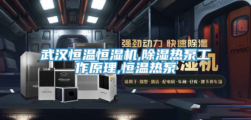 武漢恒溫恒濕機,除濕熱泵工作原理,恒溫?zé)岜?></div>
								<div   id=