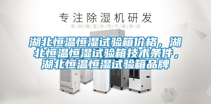 湖北恒溫恒濕試驗(yàn)箱價(jià)格，湖北恒溫恒濕試驗(yàn)箱技術(shù)條件，湖北恒溫恒濕試驗(yàn)箱品牌