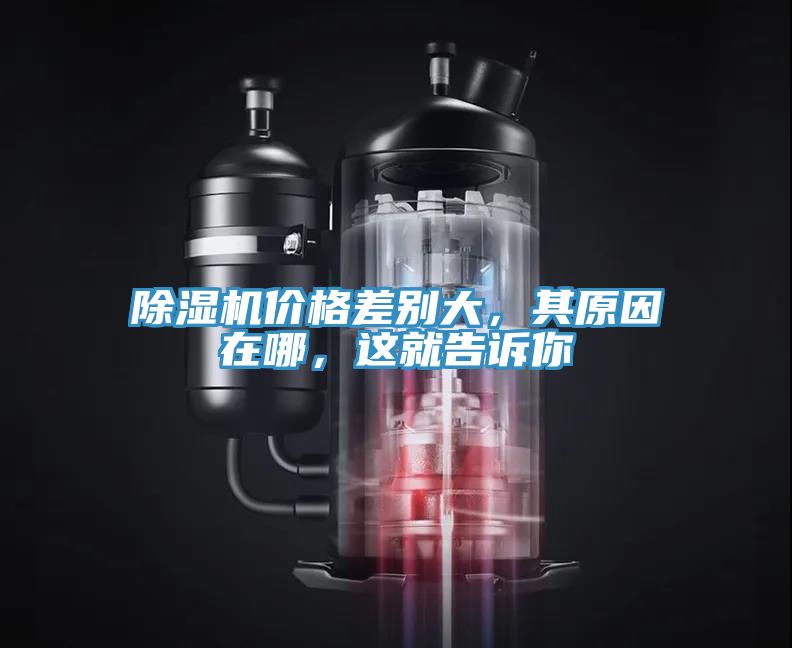 除濕機(jī)價(jià)格差別大，其原因在哪，這就告訴你