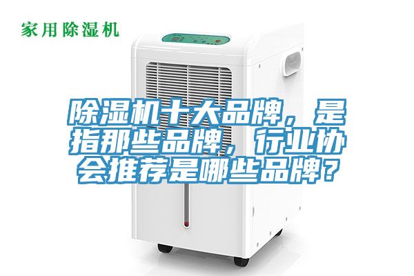 除濕機十大品牌,是指那些品牌,行業協會推薦是哪些品牌?