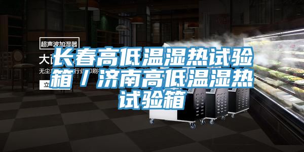 長春高低溫濕熱試驗(yàn)箱/濟(jì)南高低溫濕熱試驗(yàn)箱