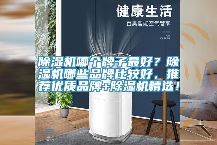 除濕機哪個牌子最好？除濕機哪些品牌比較好，推薦優(yōu)質品牌+除濕機精選！