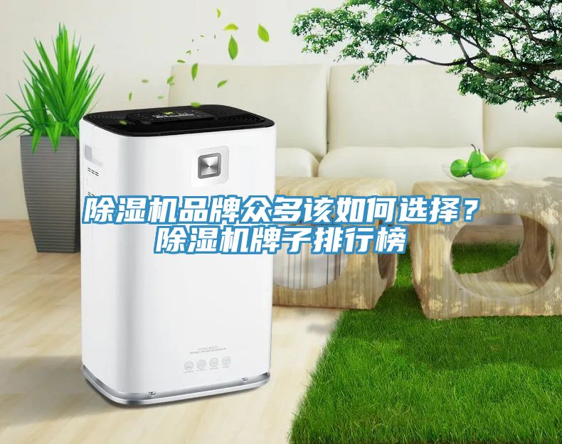 除濕機品牌眾多該如何選擇？除濕機牌子排行榜