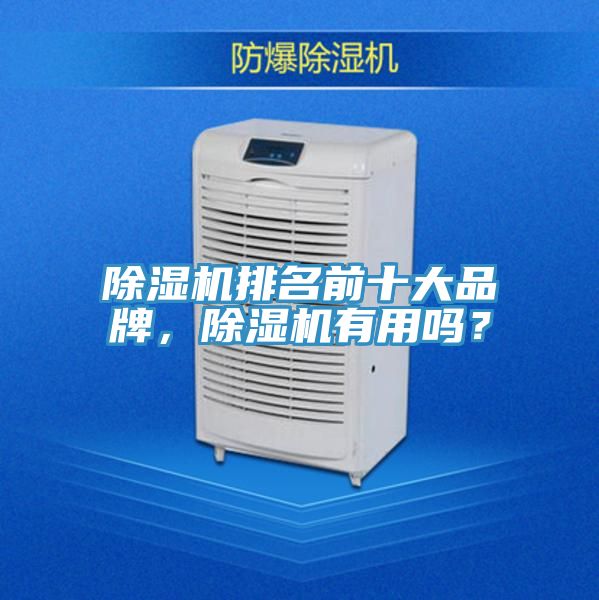 除濕機排名前十大品牌，除濕機有用嗎？
