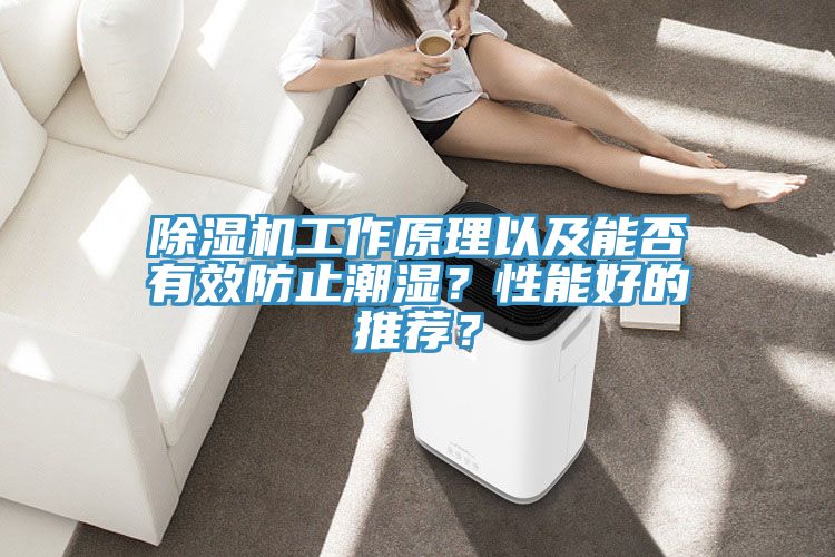 除濕機工作原理以及能否有效防止潮濕?性能好的推薦?