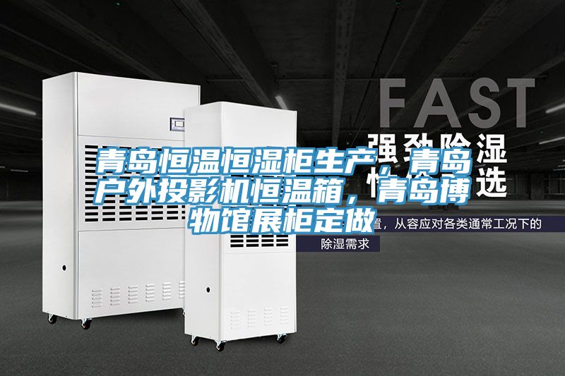青島恒溫恒濕柜生產,青島戶外投影機恒溫箱,青島博物館展柜定做