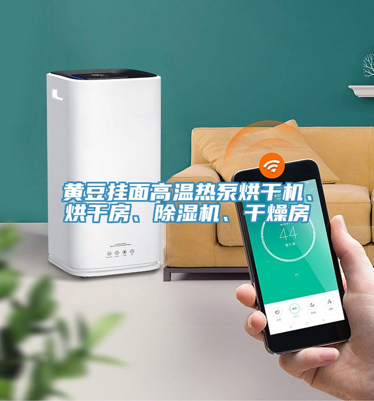 黃豆掛面高溫熱泵烘干機、烘干房、除濕機、干燥房