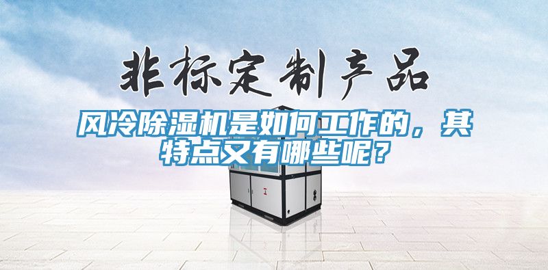 風冷除濕機是如何工作的,其特點又有哪些呢?