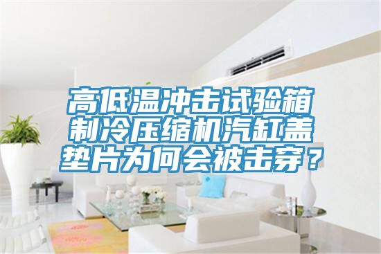 高低溫沖擊試驗箱制冷壓縮機汽缸蓋墊片為何會被擊穿？